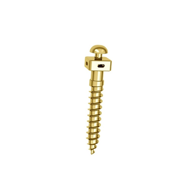 Microtornillo OBS 2x12 mm con agujero | TAD Ortodóntico