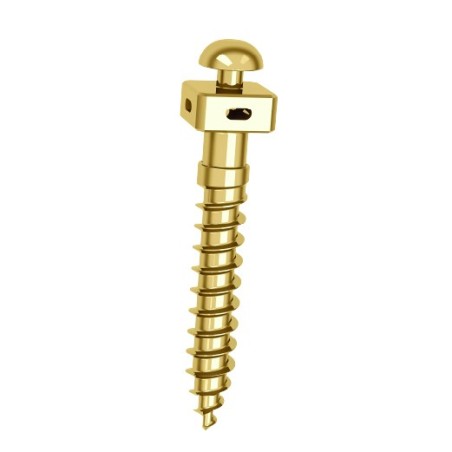 Microtornillo OBS 2x12 mm con agujero | TAD Ortodóntico