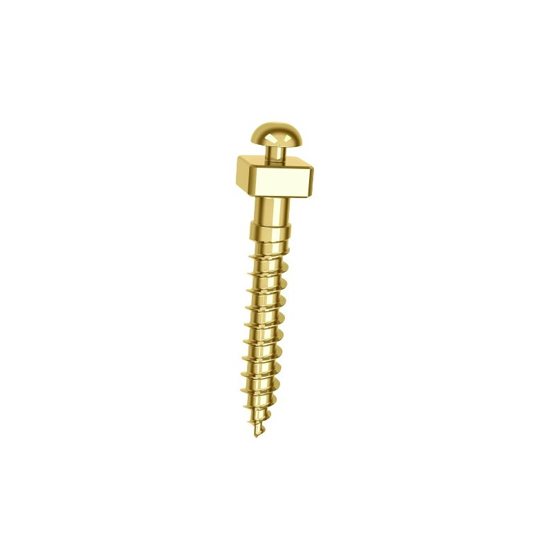 Microtornillo OBS 2x12 mm | TAD Ortodóntico