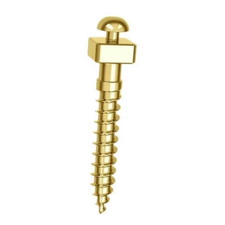 Microtornillo OBS 2x12 mm | TAD Ortodóntico