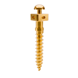 Microtornillo OBS 2x12 mm con agujero | TAD Ortodóntico