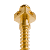 Microtornillo OBS 2x12 mm con agujero | TAD Ortodóntico